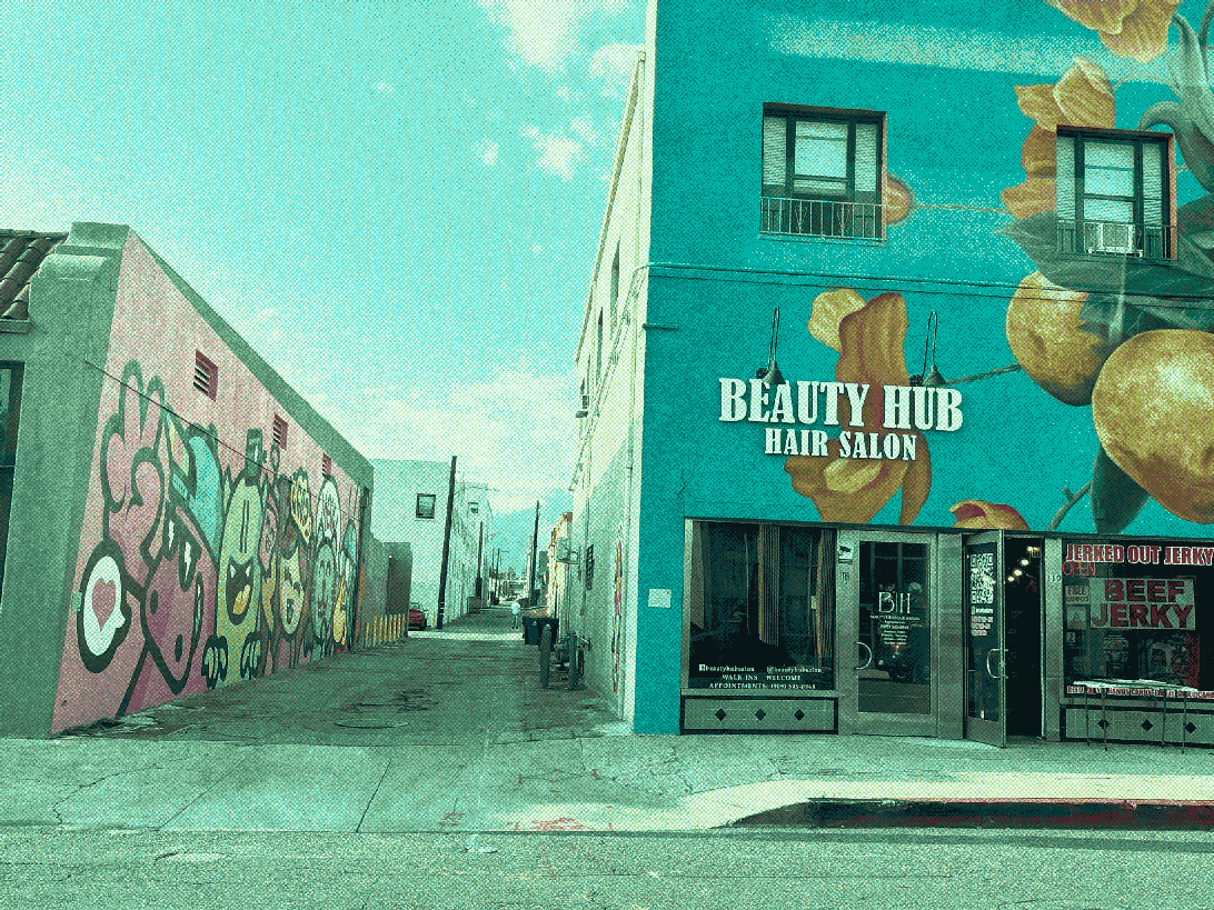 beauty hub hair salon and jerked out jerky, next to an alleyway in downtown ontario